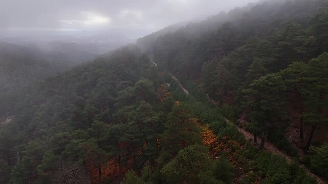 Aerial drone footage of Puerto de Navacerrada in the Sierra de Guadarrama, Madrid, Spain, covered in fog, with a transmission tower, pine forest, and a dirt trail