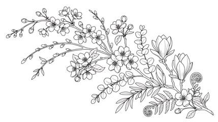 Hand drawn cherry blossom branch vector, botanical line art floral bouquet with magnolia and eucalyptus, elegant spring flower coloring page illustration © Dream Time Studio