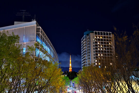 ビルの間から見える東京タワー