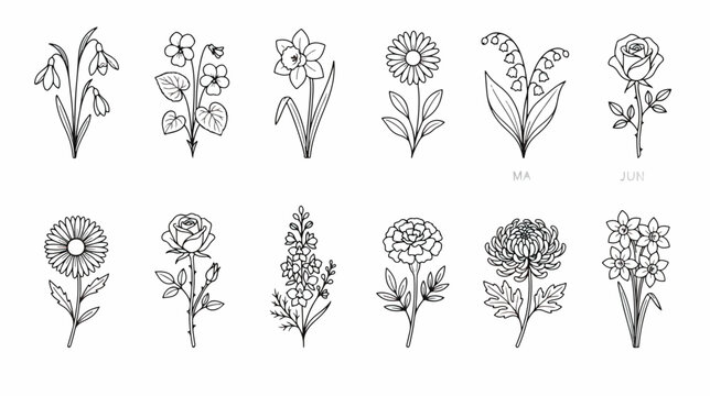 Minimalist birth month flower collection, 12 botanical line art icons, hand drawn floral vector set for tattoo design and wedding stationery