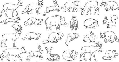 Obraz premium Hand Drawn Woodland Animals and Forest Wildlife Outline Line Art Collection