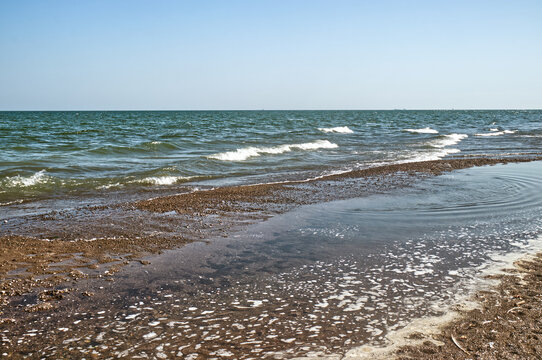 It is hard to believe that this is a fresh water lake, given the waves. Lake Erie.. Point Pelee National Park, ON, Canada