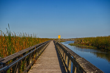 Fototapeta premium Well laid board walk glowing in the evening sun. Point Pelee National Park, ON, Canada