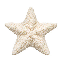 Naklejka premium PNG Natural textured starfish decoration