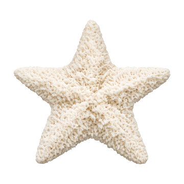 PNG Natural textured starfish decoration