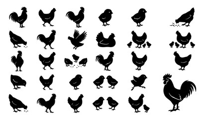 Obraz premium Minimalist Chicken Icon Set with Black Poultry Bird Silhouettes for Farm and Food Branding