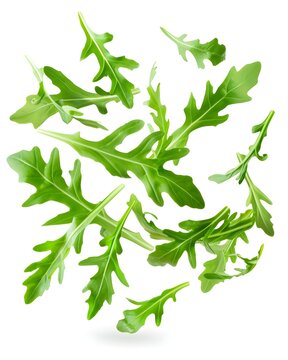 floating arugula leaves fresh isolated on white background