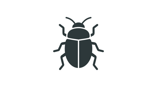 Black Beetle Insect Closeup View.