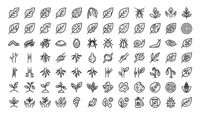 Plant Disease and Pest Icons Collection Editable Stroke Vector Set © Mdyounus