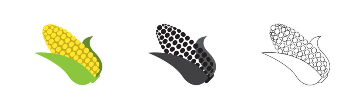 Corn on the cob icon set. Sweet corn stalk. fresh organic vegetable concepts. agriculture harvesting crop icons. maize ear indicators.