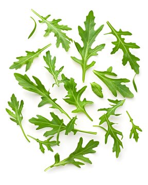 floating arugula leaves healthy ingredient isolated on white background