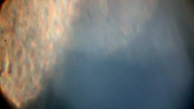Film Light Leak fx 4k