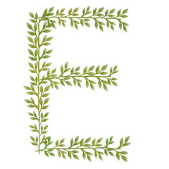 Fototapeta premium Initial Decorated with Green Leaves