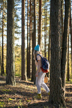Seasonal foraging and spending time outdoors, active woman backpacker walking searching for edibles in woods, female nature explorer harvesting berries, plants and mushrooms in forest on solo trip.