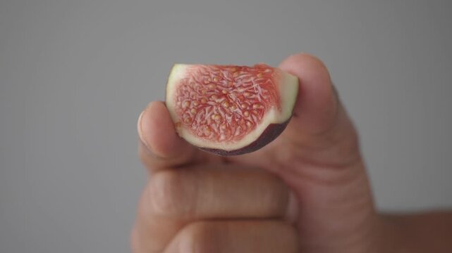 Delightful fig held in hand during bright daylight moments