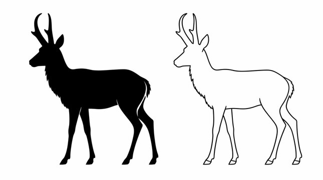 Pronghorn Antelope Silhouette and Outline Vector Illustration
