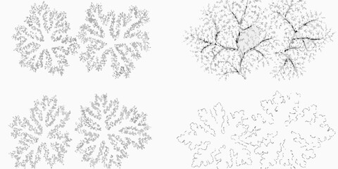 collection of four hand drawn shrubs and bushes on white background hand drawn plants vegetation botanical sketch illustration black and white gray scale natural © Lalin