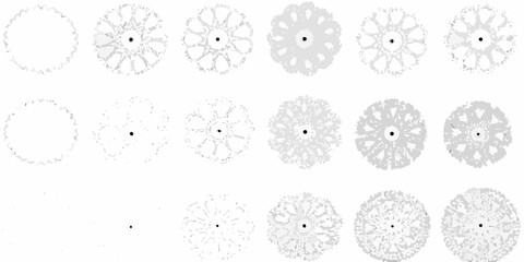 tree canopy silhouettes on white background silhouette top down view forest nature outline shade shade pattern shade silhouette shade tree shade canopy shade outline shade view shade forest © Lalin