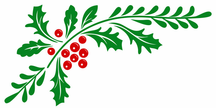 Mistletoe illustration with green foliage and red berries on white background