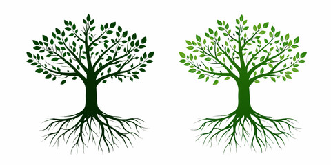 Trees With Roots Green Vector Illustration On White Background © Ganesh