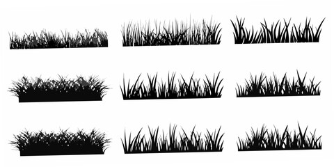 Black Silhouette Illustrations Of Grass Tufts On White Background © Rathindranath