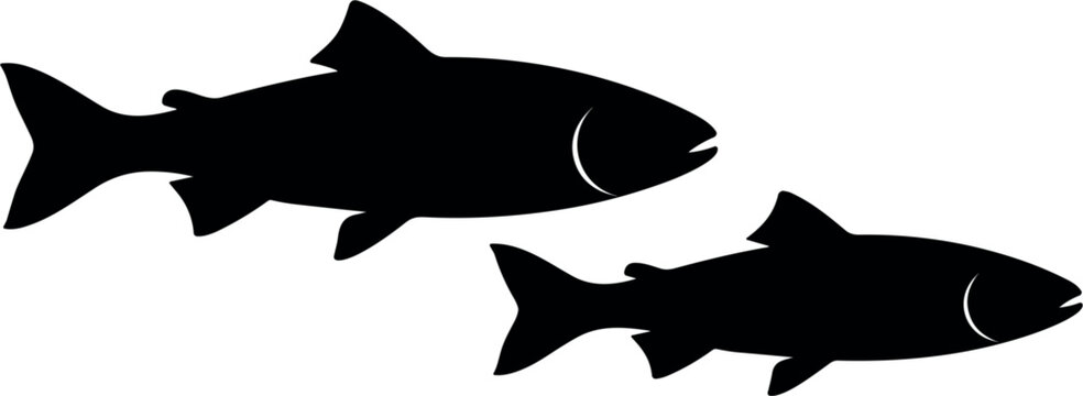 Two fish silhouettes swimming vector illustration isolated on white background depicting salmon trout wildlife nature symbol icon graphic element