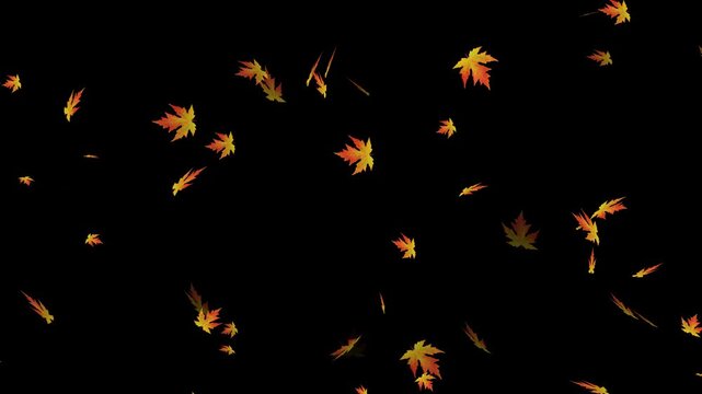 Autumn maple leaves falling animation. leaves falling down on green screen chroma key loopable background. 4k falling leaf animation with alpha channel.