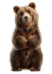 Fototapeta premium Cheerful Bear Portrait, Wildlife Action, Nature Setting, Illustration, Playful Environment