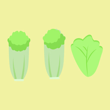 A flat vector illustration set of three leafy green vegetables, including romaine lettuce and cabbage, isolated on a pale yellow background. Great for grocery, salad, and healthy eating themed designs