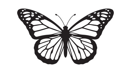 Butterfly Silhouette Against A White Background insect © Layla