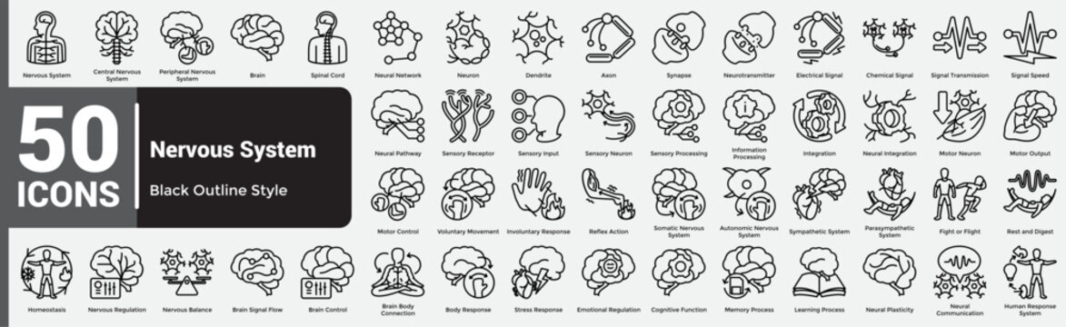 Line Nervous System Bundle H50