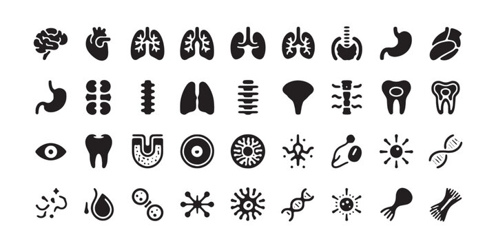 Anatomy icons set depicting human organs brain heart lungs stomach kidneys and microscopic bacteria.
