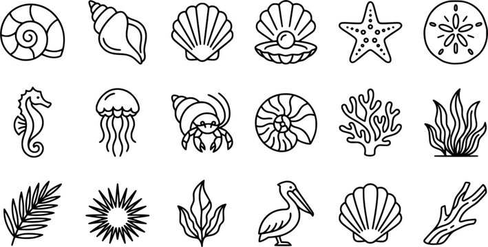 Marine Life and Seashell Outline Icon Set with Starfish, Seahorse, Jellyfish, Coral, Seaweed, Pelican and Coastal Elements Isolated on White Background