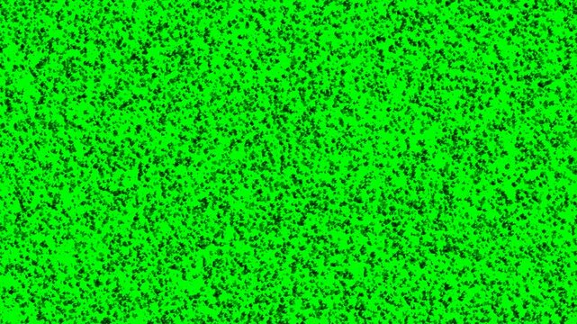 Vintage 16mm film shows coarse grain texture in close-up view