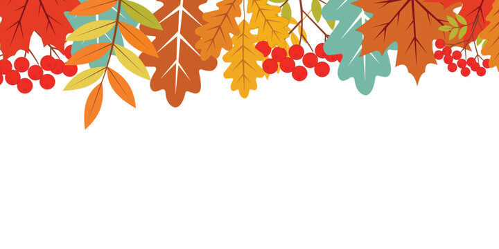 Vibrant autumn leaves and red berries forming a decorative border