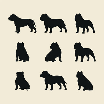 Set of American Bully silhouettes, black dog icons in various poses for logo and graphic design
