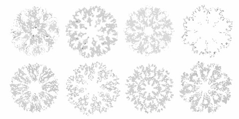collection of eight hand drawn shrub silhouettes on white background bush silhouette plants vegetation natural organic botanical © RanjanKumar