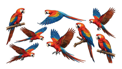 Scarlet macaw parrot tropical bird vector illustration set. Exotic wildlife, flying wings, sitting on branch, colorful feathers, jungle fauna and amazon safari nature elements. © Creative Studio 