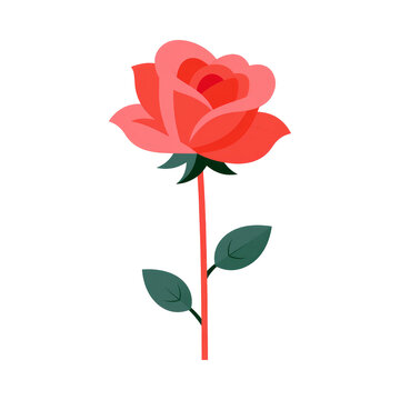 Cute Cartoon Style Rose Flower Illustration Isolated on White Background