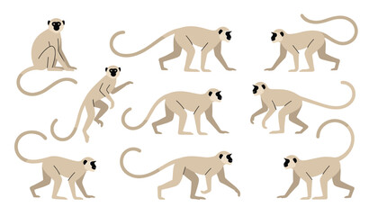 Langur monkey flat vector cartoon illustration set. Exotic ape, macaque, wildlife animal, nature safari, tail, primate, mammal, walking, sitting and jumping poses. © Creative Studio 