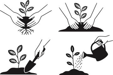 若い植物を植えて水をやるプロセスの描写 © StockMingle