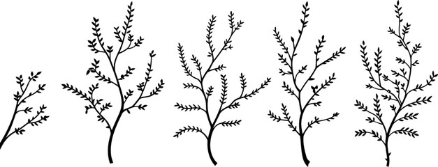 Obraz premium Five black silhouette branches with small leaves on a white background 