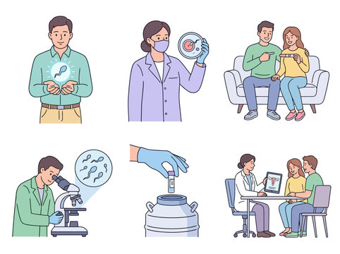 In vitro fertilization process illustration