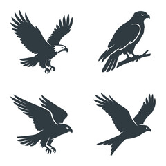 Fototapeta premium Silhouette of flying and perched eagles.