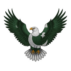 Fototapeta premium Majestic Eagle with Pakistan Flag Wings