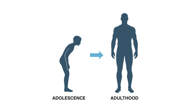 Silhouette diagram showing the posture transition from slouching in adolescence to standing straight in adulthood.