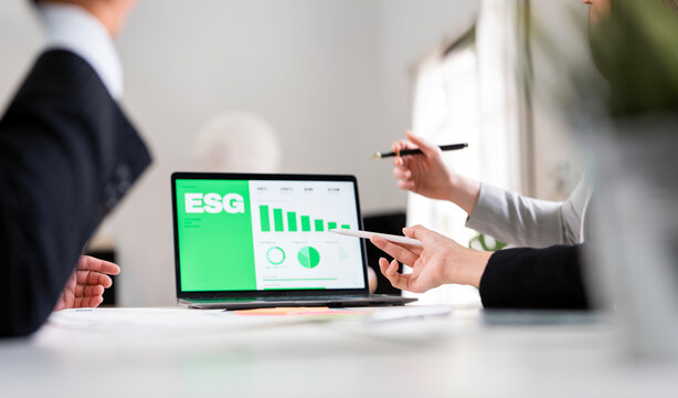 Close up of business people analyzing ESG report on laptop screen.