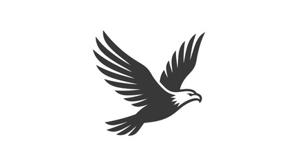 Fototapeta premium Eagle Bird Flying in Air.