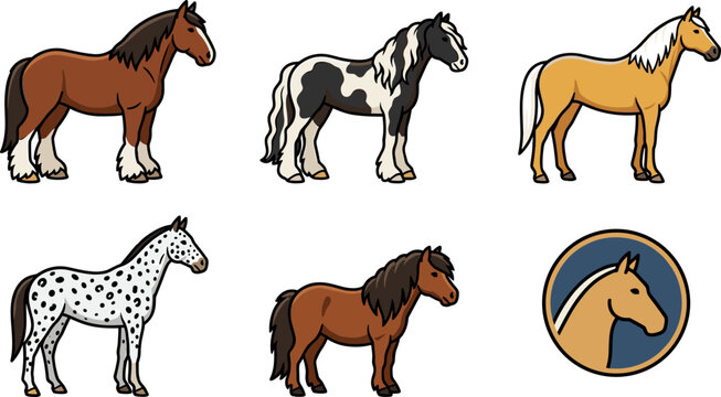 Equestrian horse breeds vector illustration set featuring bay clydesdale piebald palomino appaloosa pony and stallion logo icon isolated on white background