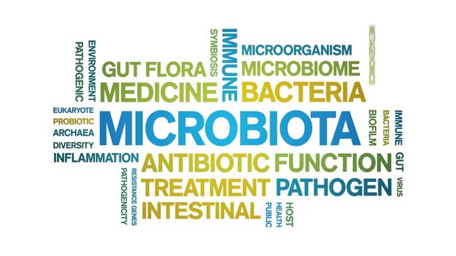 Microbiota animated word cloud-text design animation tag kinetic typography seamless loop.